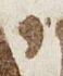 Letter - #25498