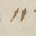 Punctuation - #25560