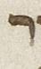Letter - #25629