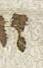 Letter - #25645