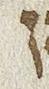 Letter - #25652