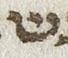 Letter - #25746