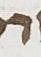Letter - #25772