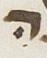Letter - #25775