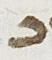 Letter - #25799