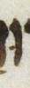 Vowel/Diacritic - #25804