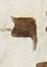Letter - #25840