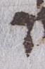Letter - #25853