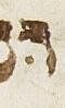Vowel/Diacritic - #25860