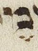 Vowel/Diacritic - #25891