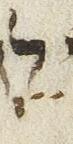 Vowel/Diacritic - #25896