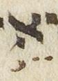 Vowel/Diacritic - #25899