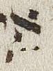 Vowel/Diacritic - #25908