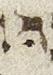 Vowel/Diacritic - #25918