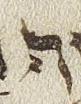 Letter - #25931