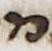 Letter - #25973