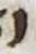 Letter - #25987