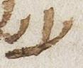 Letter - #26030