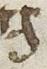 Letter - #26126