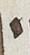 Letter - #26132
