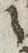 Letter - #26206
