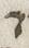 Letter - #26225