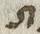 Letter - #26243