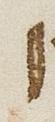 Letter - #26278
