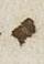 Letter - #26279