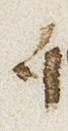 Letter - #26296
