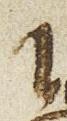 Letter - #26302
