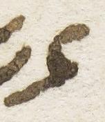Letter - #26321