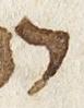 Letter - #26415