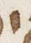 Letter - #26446