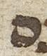 Letter - #26448