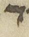Letter - #26452