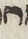 Letter - #26500