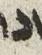 Letter - #26507