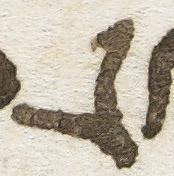 Letter - #26509