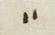 Punctuation - #26519