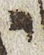 Letter - #26549