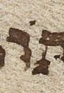 Vowel/Diacritic - #26574