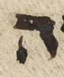 Letter - #26612