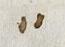 Punctuation - #26644