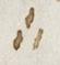 Punctuation - #26645