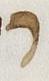 Letter - #26664