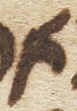 Letter - #26705
