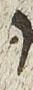 Vowel/Diacritic - #26734