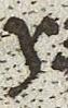 Letter - #26771