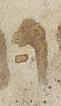 Vowel/Diacritic - #26836